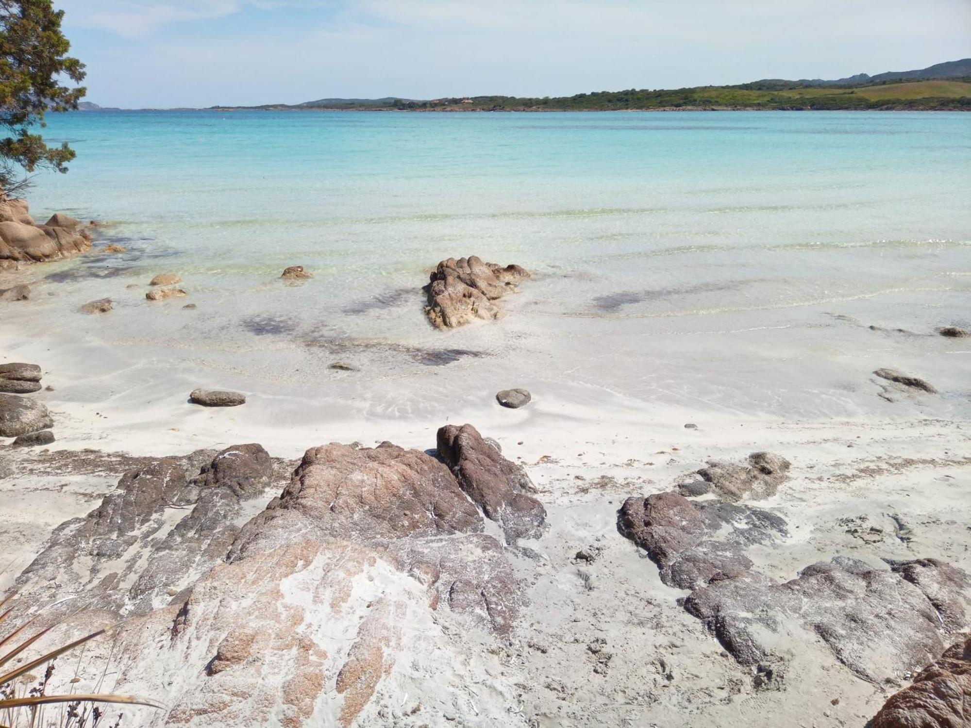 Ampio Trilocale Sul Golfo Di Marinella Villa Marinella  Exteriör bild